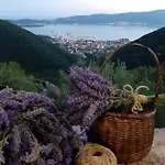 Maria Ivanica
